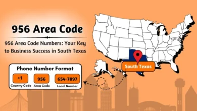 956 area code